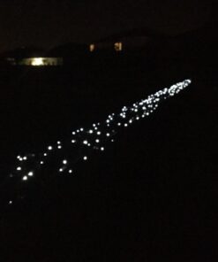 LALAPAO 2 Pack Solar String Lights 72ft 22m 200 LED 8 Modes Solar Powered Xmas Outdoor Lights Waterproof Starry Christmas Fairy Lights for Indoor Gardens Homes Wedding Holiday Party (White) White 144ft 33 61H8y5rlawL