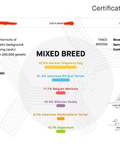 Embark Breed & Health Kit - Dog DNA Test - Discover Breed, Ancestry, Relative Finder, Genetic Health, Traits, COI 1 Count (Pack of 1) 44 61HBcwfDZSL 3