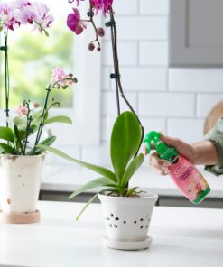 Miracle-Gro Ready-To-Use Orchid Plant Food Mist, 8 oz., Feeds Plants Instantly, 1 Pack 31 61HD3aQSMoL