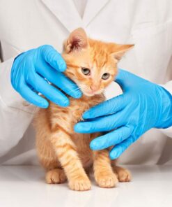 Alternative view of Basic Blue Medical Nitrile Exam Gloves Latex-Free & Powder-Free Disposable Glove (Case of 1000) (XS/S/M/L/XL/XXL) Blue (Large)