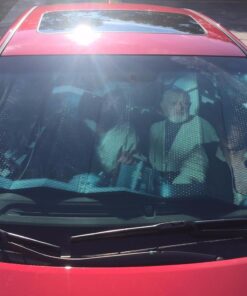 Plasticolor 003700R01 Star Wars Accordion Sunshade 34 61HDjTg7qHL