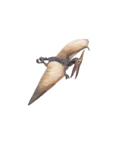 Papo The Dinosaur Figure, Pteranodon 18 61HJJUWDi2L
