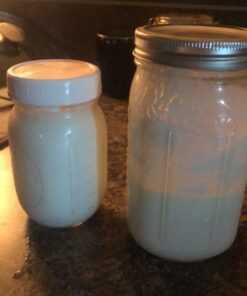 Fusion Teas 1 TBSP Organic Milk Kefir Grains and ebook “Milk Kefir Unleashed by Thomas Egbert” - Fresh Live Active Probiotic Starter Cultures 49 61HNGDlhgVL