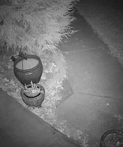 Zmodo Outdoor Security Cameras Wifi - 1080p Full HD Surveillance Cameras for Home Security with Night Vision, IP 66 Weatherproof, Plug-In, Motion Detection, 4 Pack 4 Count (Pack of 4) 61 61HWwB3ZvlL