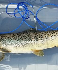 Okuma Voyager Spinning Freshwater Travel Kit, VS-605-20, Blue Fishing Rod Reel Combo 45 61HeVMqvbVL