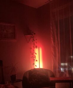 Govee RGBIC Floor Lamp, LED Corner Lamp Works with Alexa, Smart Modern Floor Lamp with Music Sync and 16 Million DIY Colors, Color Changing Standing Lamp for Christmas Bedroom Living Room Black 29 61Het2OSP1L