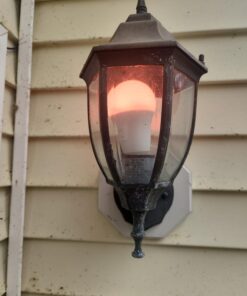 Govee Smart Light Bulbs, WiFi Bluetooth Color Changing Light Bulbs, Music Sync, 54 Dynamic Scenes, 16 Million DIY Colors RGB Light Bulbs, Work with Alexa, Google Assistant Home App, 4 Pack Multi-colored 4 Count (Pack of 1) 31 61HmCo y2xL