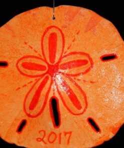 Tumbler Home White Sand Dollars 3"-3.5" - 10pcs - Wedding Seashell Craft Sandollars- Hand Picked and Professionally Packed 43 61HpzNJNriL