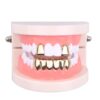 Gold Grillz Mouth Teeth 24K Plated Gold Custom Fit Top & Bottom Set Caps Grillz For Women Gift + Extra Molding Bars + Microfiber Cloth 34 61Hu0HvOjlL