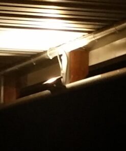 GLW® 10w 12v Ac or Dc Warm White Led Flood Light Waterproof Outdoor Lights 750lm 80w Halogen Bulb Equivalent Black Case 56 61HvxnW49xL