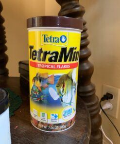 Tetra 16106 Min Tropical Flakes, Nutritionally Balanced Fish Food, 7.06-Ounce 7.06-ounce (Pack of 1) 29 61I362hHS2L