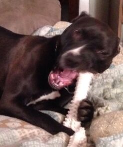 Nylabone Power Chew Dog Toy - Dog Toys for Aggressive Chewers - Indestructible Dog Toys for Aggressive Chewers Large Breed - For Extra Large Dogs - Bacon Flavor X-Large/Souper (1 Count) X-Large/Souper - 50+ lbs. 48 61I4bStPMfL