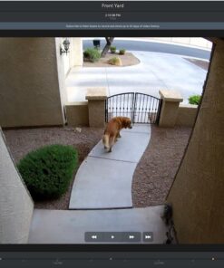 Google Nest Cam Outdoor - 1st Generation - Weatherproof Camera - Surveillance Camera with Night Vision - Control with Your Phone 1st Gen 1 Count (Pack of 1) Nest Cam (Outdoor, Wired) 75 61I6GZ6 NjL