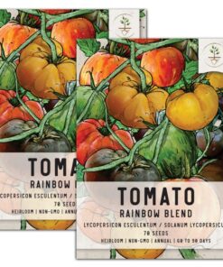 Alternative view of Seed Needs, Rainbow Blend Tomato Seeds for Planting (10+ Varieties) Twin Pack of 70 Seeds Each - Heirloom, Non-GMO & Untreated Twin Pack (140 Seeds)