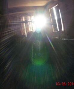 Bike Lights for Night Riding, USB Rechargeable Shark 300 Ultra Bright LED Bike Lights Front and Back Safety Tail Light Included, Bicycle Light Compatible with Mountain, Road, Kids & City Bicycles Black Combo 67 61ICGd0lZTL