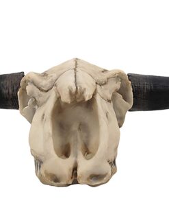 Alternative view of Long Horn Cow Skull Wall Hanging Longhorn Steer