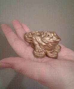 1 X Feng Shui Money Frog/Money Toad Attract Wealth 26 61IQdEBxTsL
