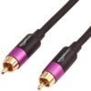 Amazon Basics RCA Audio Cable for Stereo Speaker or Subwoofer with Gold-Plated Plugs, 35 Foot, Black 35 Feet 35 61ITuWjuBNL