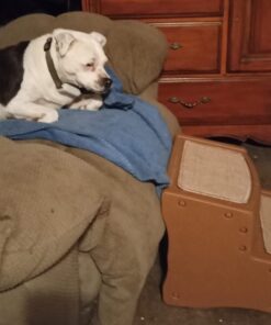 Pet Gear Easy Step II Pet Stairs, 2 Step For Cats/Dogs Up To 75-Pounds, Portable, Removable Washable Carpet Tread, No Tools Required, Available In 4 Colors,Light Cocoa Light Cocoa 25 61IVOT8FR L