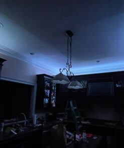 Tenmiro 65.6ft Led Strip Lights, Ultra Long RGB 5050 Color Changing LED Light Strips Kit with 44 Keys Ir Remote Led Lights for Bedroom, Kitchen, Home Decoration 57 61IYMhCdw2L