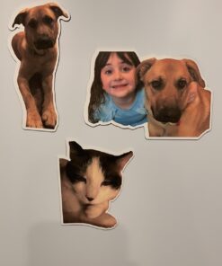 Silhouette Media-Magnet-ADH Adhesive Magnet Paper 10 61IYbkjAJ1L