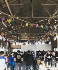 Adorox 100 Foot Multicolor Plastic Pennant Banner Birthday Party Decorations Weather Resistant Grand Opening Banner (Multi-Colored (1 Banner)) 13 61Idn37HwkL