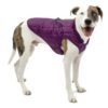 Kurgo Loft Dog Jacket, Reversible Dog Coat, Wear with Harness or Sweater, Water Resistant, Reflective, Winter Coat For Medium Dogs (Deep Violet, M) Deep Violet/Charcoal 36 61IfEmd4cDL