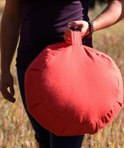 Hugger Mugger Zafu Meditation Cushion - Support in Cross-Legged Sitting, Buckwheat Filled, Durable Fabric, Convenient Handle, Handmade in USA Plum 10 61Ihc6n7HYL
