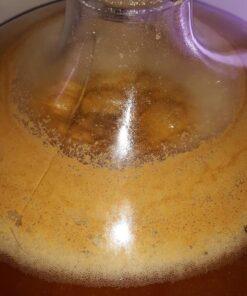 SocalHomeBrew 32-3DYU-D4E8 Safale US-05 (pack of 3, 11.5g) Red 8 61IkpsFu4TL