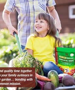 Heirloom Vegetable Seeds Non GMO Survival Seed Kit - Part of Our Legacy and Heritage - 50 Varieties 100% Naturally Grown- Best for Gardeners Who Raise Their Own Healthy Food 1 30 61Io0RHUdRL
