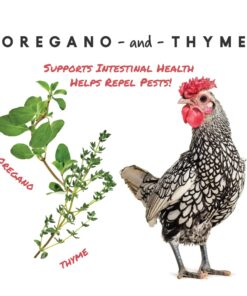 Manna Pro Harvest Delight - Whole Ingredient Chicken Treat - Harvest Mix of Grains, Raisins, Tomatoes, Carrots, Sunflower Seeds - Mixed Flock Poultry Treat - 2.5 lbs 20 61IwBMpWVuL