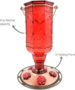 More Birds Red Jewel Hummingbird Feeder, Glass Hummingbird Feeders for Outdoors, 5 Feeding Stations, 20 Ounces Standard Packaging 22 61IxdFOe6GL