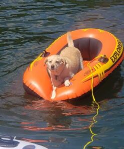 INTEX Explorer Inflatable Boat Series: Dual Air Chambers – Welded Oar Locks – Grab Handles – Bow Rope – Sporty Design Explorer 200 33 61J8OmdqYSL