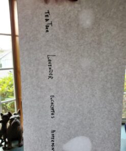 Aura Cacia Discover Essential Oils Kit, 4-Pack, Lavender, Eucalyptus, Peppermint & Tea Tree Oils, Excellent Starter Set Essential Oils Kit: Eucalyptus/Lavender/Peppermint/Tea Tree 43 61JBAsUqqXL