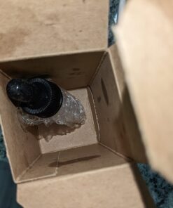 100% Pure Cinnamon Essential Oil - Premium Cinnamon Oil for Aromatherapy, Massage, Topical & Household Uses - 1 fl oz (Cinnamon) 19 61JCVb0oVbL 1