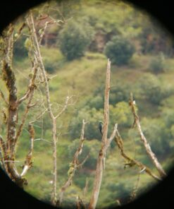 Celestron - SkyMaster Giant 15x70 Binoculars Astronomy Binoculars - Binoculars for Stargazing and Long Distance Viewing - Includes Tripod Adapter and Case SkyMaster 15x70 Binocular Binocular only 48 61JHZG OE0L