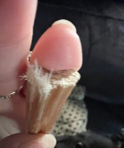 Top Dog Chews - 12 Inch Standard 12 Pack Bully Sticks, Long Lasting, 100% Natural Beef, Free Range Grass Fed, High Protein, Supports Dental Health Dog Treat for Medium & Large Dogs, 12 Pack 12 Count (Pack of 1) 33 61JNHjSfHxL