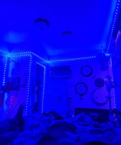 REEMEER Led Lights 100ft(2 Rolls of 50ft) Smart APP Control Music Sync Led Strip Lights RGB Color Changing Led Lights Strips with Remote Led Lights for Bedroom Kitchen and Party 100 ft 30 61JUbBAIjGL