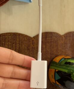Apple USB-C to USB Adapter Standard Packaging 52 61JiIDPkUL