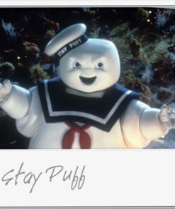 Ghostbusters (Widescreen Edition) DVD March 14, 2006 11 61Jk0FfMQlL