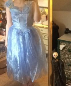 Disney Disguise Women's Cinderella Movie Adult Deluxe Costume Large Blue 18 61JlWFeDQL