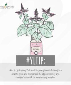 Patchouli Essential Oil by Young Living - Ideal for Skin Moisturization, Diffuser Blends, and Relaxing Scents - Promotes Calmness and Peace - 3-Pack of 5ml Bottles 17 61K7BMVaVL