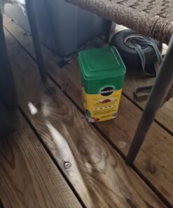 Miracle-Gro Water Soluble All Purpose Plant Food 5 lb. 1 Pack 44 61K7NP vqL