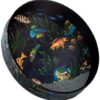 Remo Ocean Drum, Fish Heads 2.5" x 16" 16 Inch 45 61K9JIFgnPL