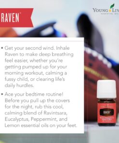 Young Living Raven Essential Oil 5 ml - Cooling Chest & Throat Blend with Ravintsara , Peppermint, Eucalyptus Radiata , Refreshing blend , Tranquility and Relaxation 0.17 Fl Oz (Pack of 1) 14 61KCxVFBYdL