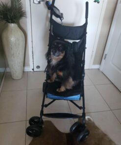 Summer Infant 3Dmini Convenience Stroller, Blue/Black – Lightweight Infant Stroller with Compact Fold, Multi-Position Recline, Canopy Pop Out Sun Visor and More Umbrella for Travel 36 61KEdoE0XJL