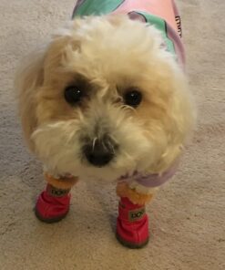 WINSOON Dog Australia Boots Pet Antiskid Shoes Winter Warm Skidproof Sneakers Paw Protectors 4-pcs Set (Size 4, Pink) Size 4 42 61KIHANS13L