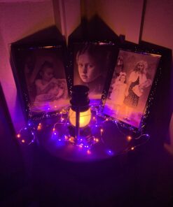 Brizled Purple Orange Halloween Fairy Lights, 19.47ft 60 LED Halloween Lights, 2 Mode Battery Purple Orange Lights, Indoor Silver Wire Halloween Twinkle Light for Halloween Themed Party Carnival Decor Purple & Orange 17 61KSI81FFL