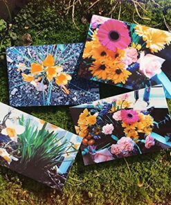 Polaroid 2x3ʺ Premium Zink Photo Paper (50 Pack) Compatible with Polaroid Mint Camera, Snap/Snap Touch Instant Print Cameras and Zip Photo Printers 50 Pack Zink Paper 25 61KTF7XhYLL