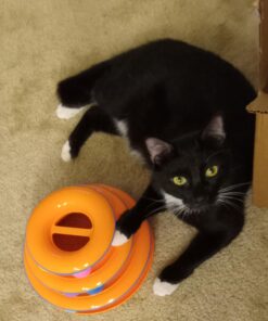 Catstages Tower of Tracks Interactive 3-Tier Cat Toy 33 61KTWMrSFL